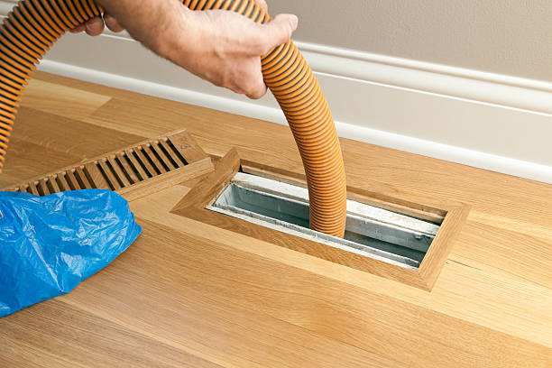 Best Local Air Duct Cleaning Services  in Hybla Lley, VA