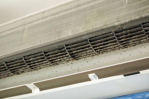 Best Affordable Duct Cleaning Services  in Hybla Lley, VA